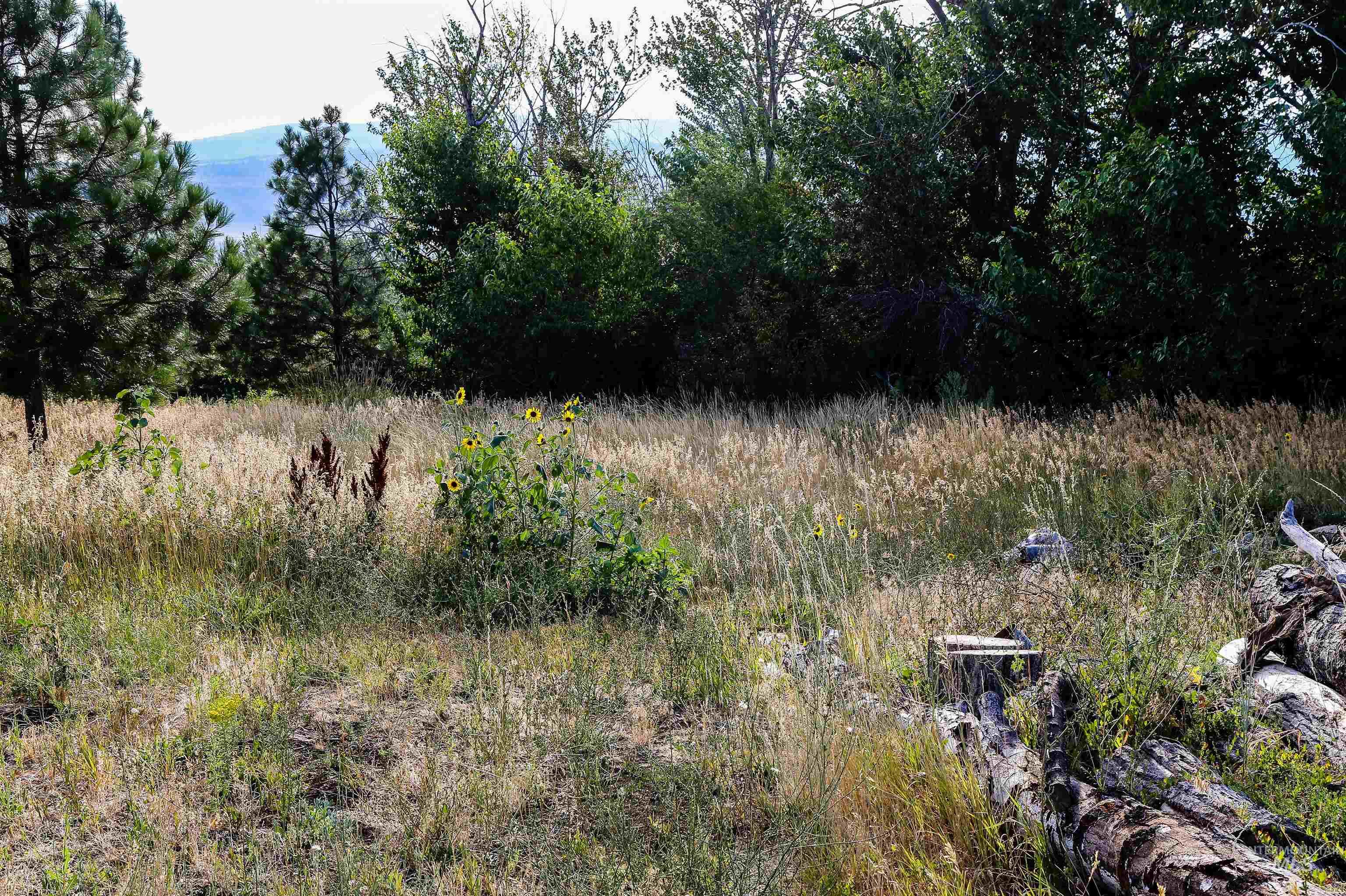 2060 Missman Road Council, ID 83612 - Photo 45 of 50 View of local wilderness