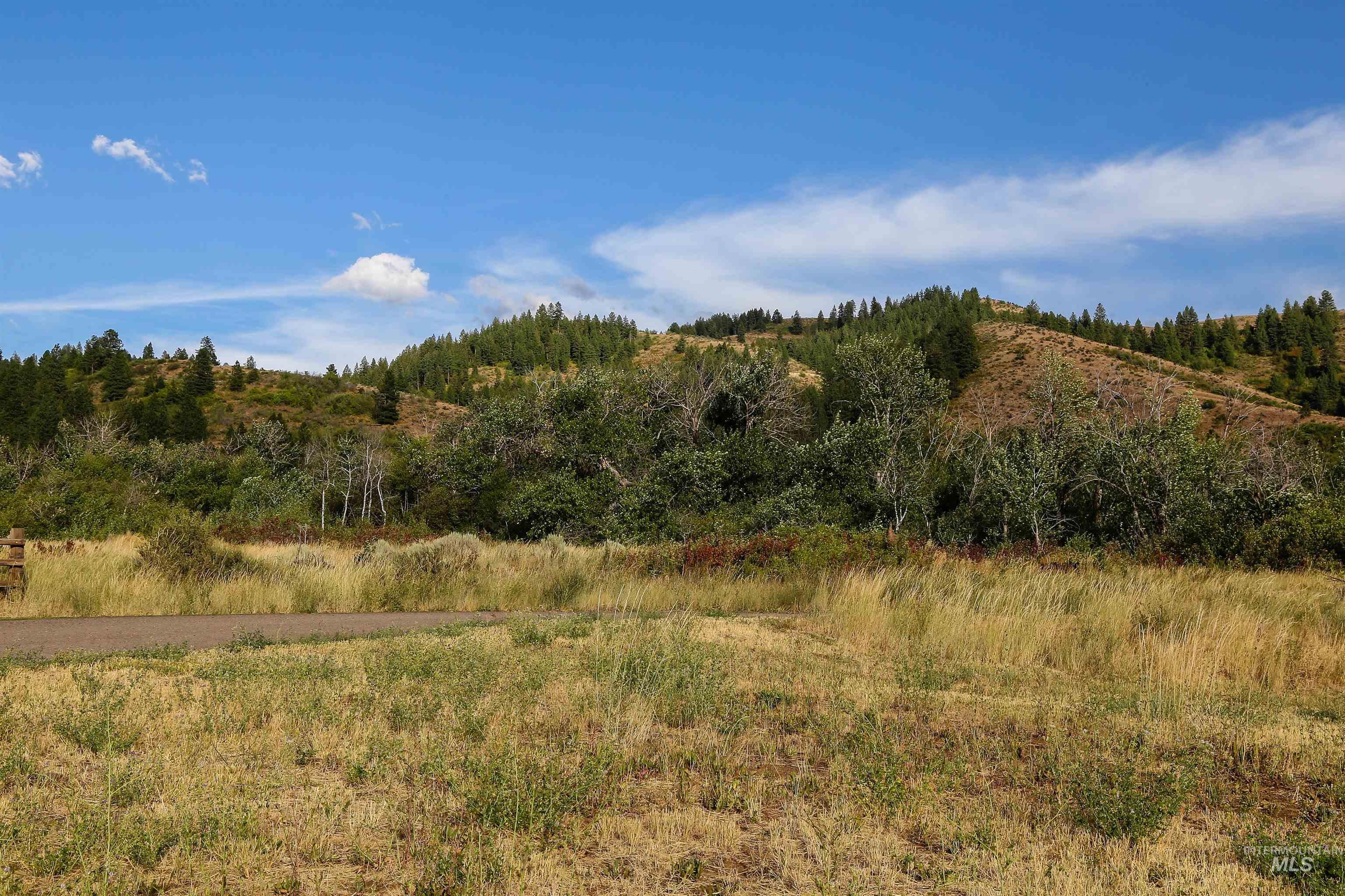 2060 Missman Road Council, ID 83612 - Photo 47 of 50 View of tree filled area