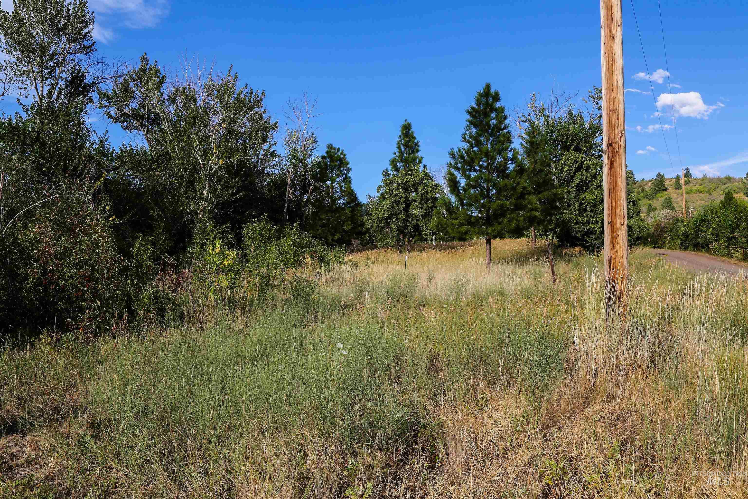 2060 Missman Road Council, ID 83612 - Photo 49 of 50 View of local wilderness