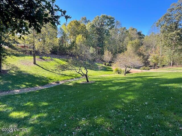 90 Links Bend Way Springville, TN 38256 - Photo 14 of 44 a view of a park with a tree