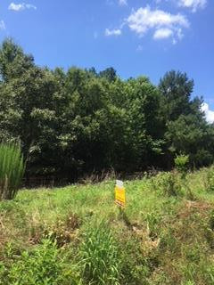 0 Highway 4 Springfield, SC 29146 - Photo 1 of 3
