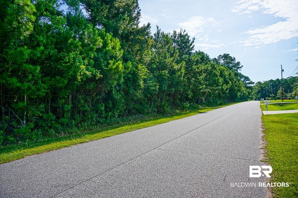 0 Riverview Drive Coden, AL 36523 - Photo 3 of 4