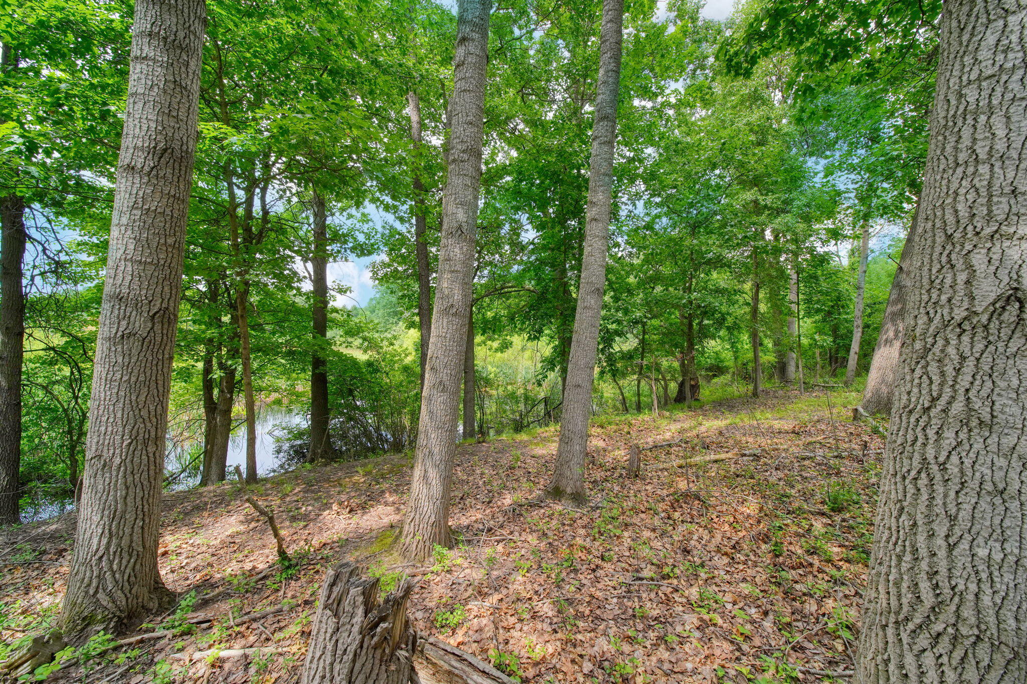 3930 Hoyer Road Jackson, MI 49201 - Photo 36 of 53 35