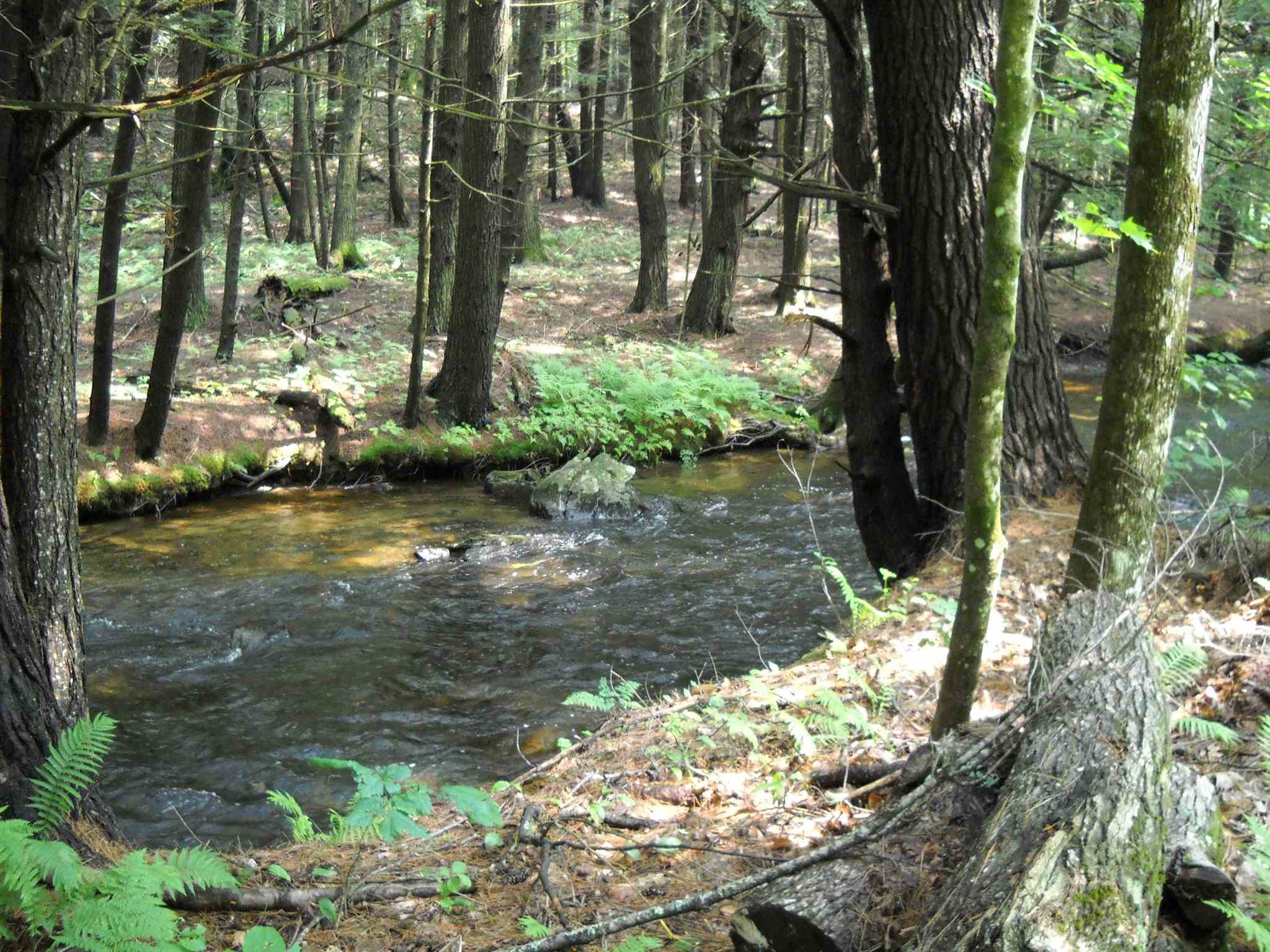 47 Goose Pond Road Lyme, NH 03768 - Photo 15 of 26 Gallery Image 15