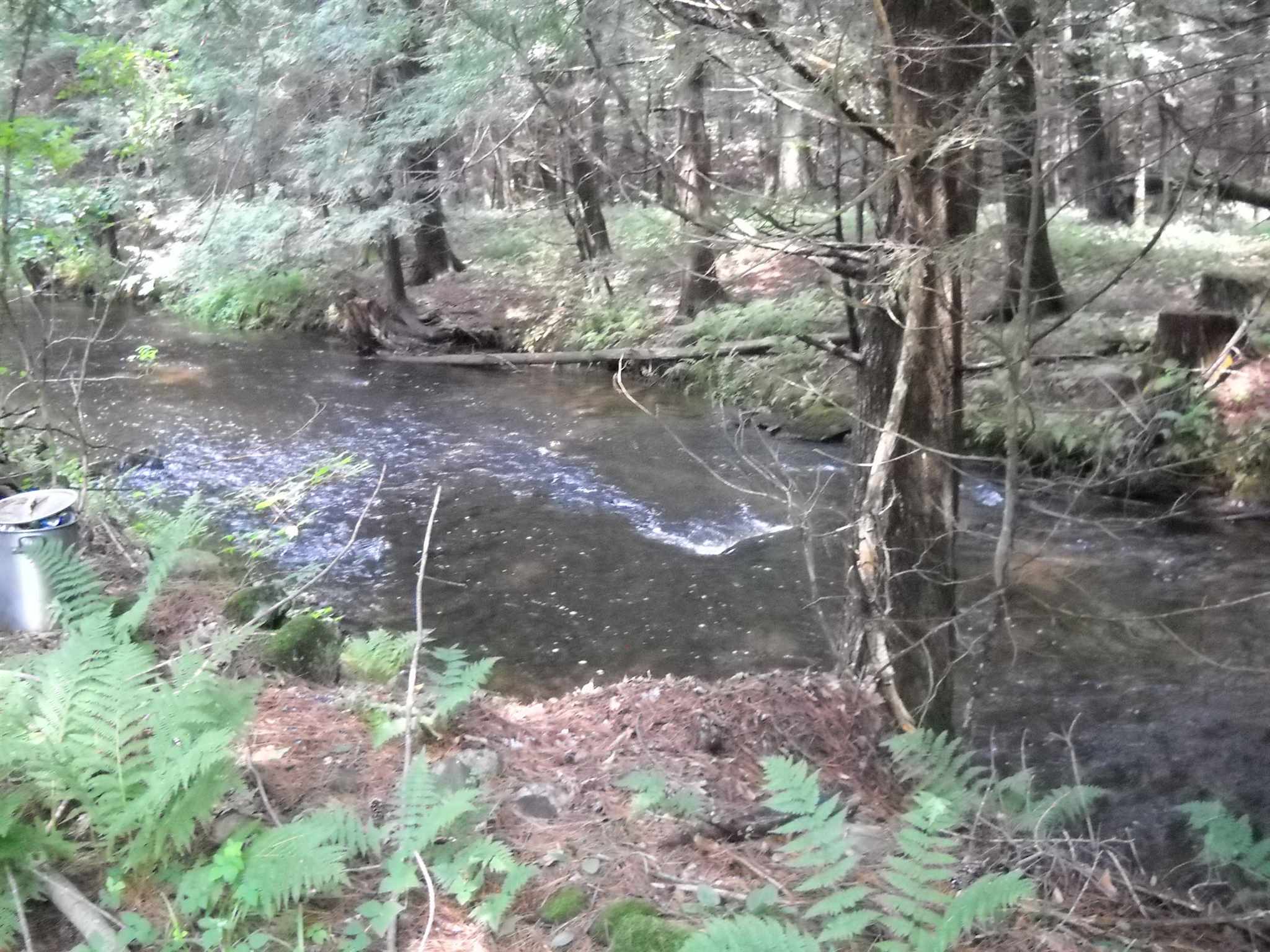 47 Goose Pond Road Lyme, NH 03768 - Photo 16 of 26 Gallery Image 16