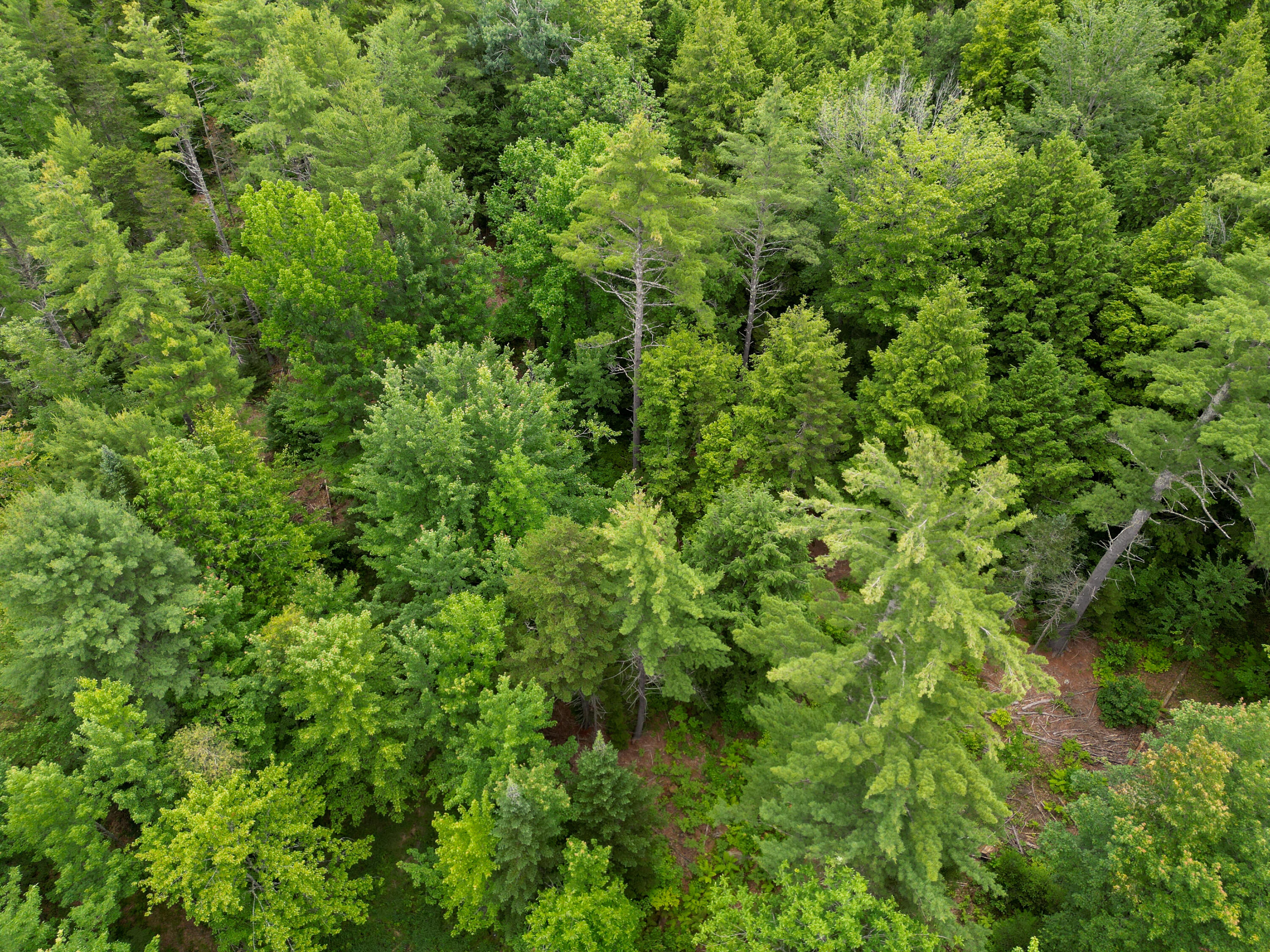 Lot 30 Irish Neighborhood Road Bethel, ME 04217 - Photo 21 of 24 DJI_0626