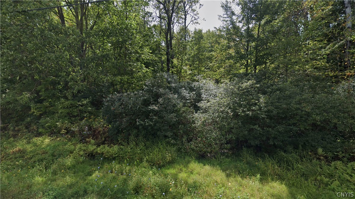 0 Hardin Road Delanson, NY 12053 - Photo 1 of 1 Gallery Image 1