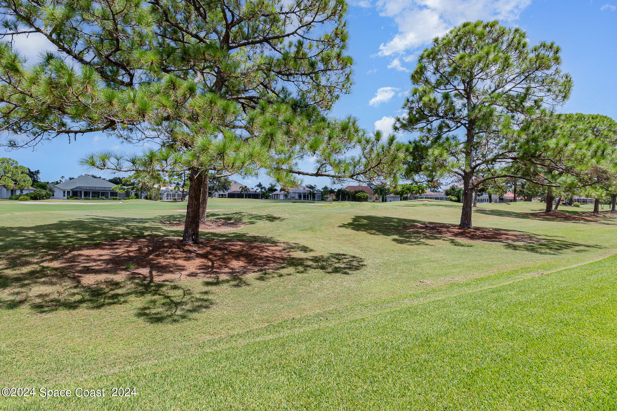 697 Spring Lake Drive Melbourne, FL 32940 - Photo 39 of 51 a view of a yard with a tree