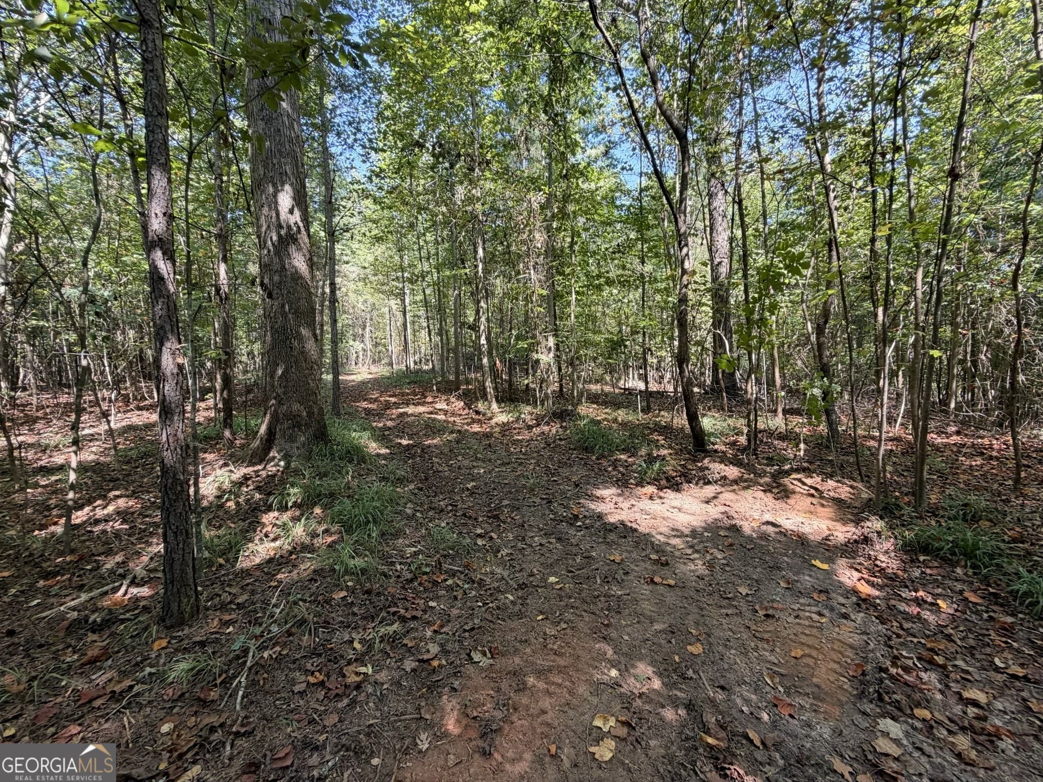 11 Bunch Road Tignall, GA 30668 - Photo 21 of 81 Gallery Image 21
