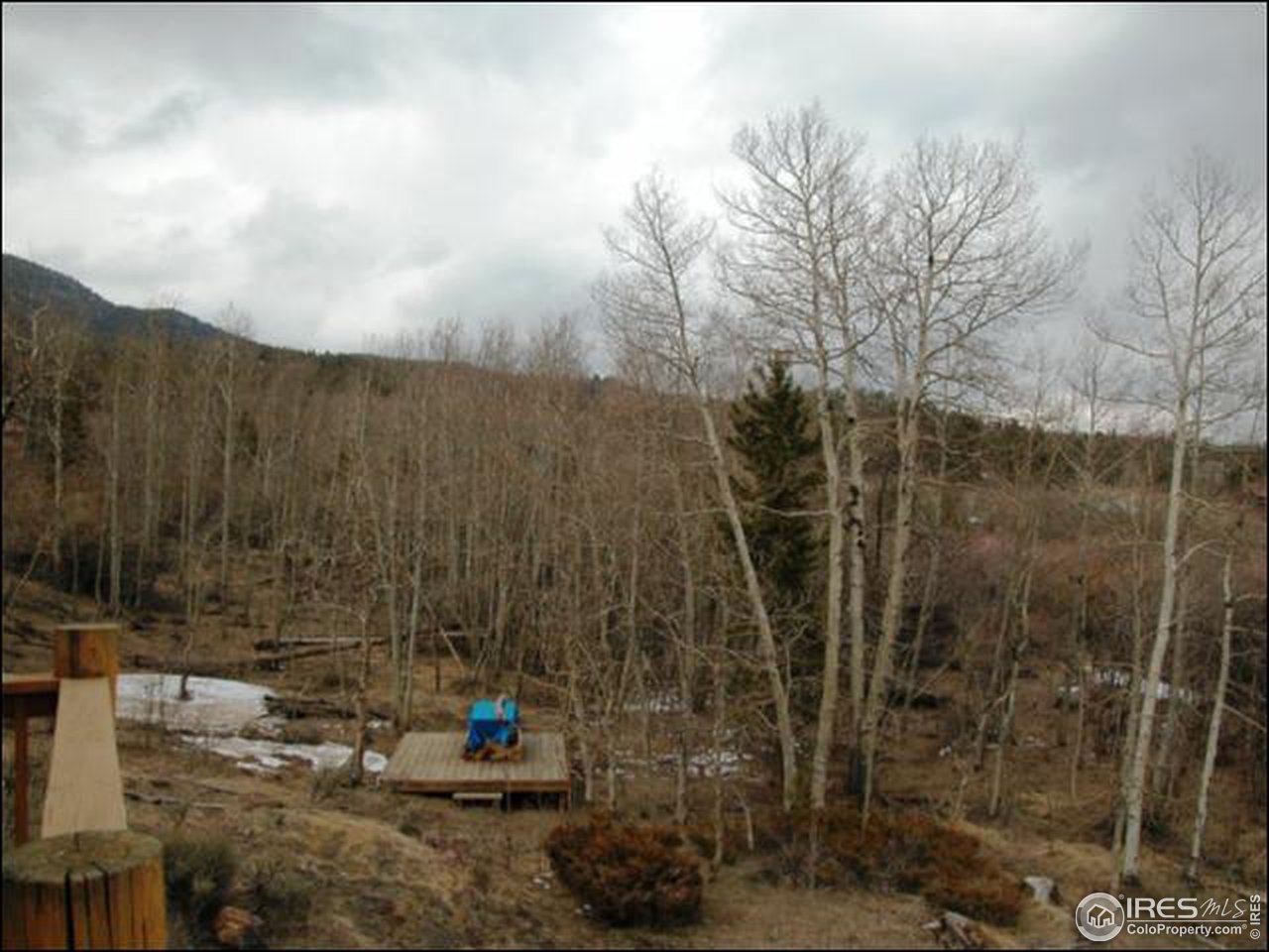 98 Navaho Road Red Feather Lakes, CO 80545 - Photo 8 of 12 Gallery Image 8