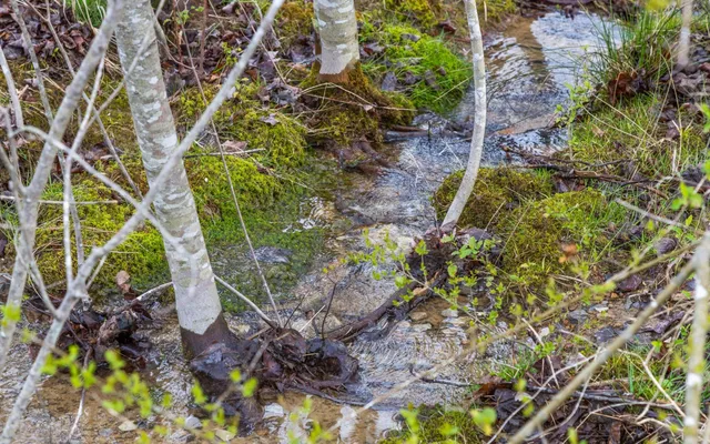 $2,250,000 | 10600 Skyridge Trail, Soddy Daisy, TN 37379