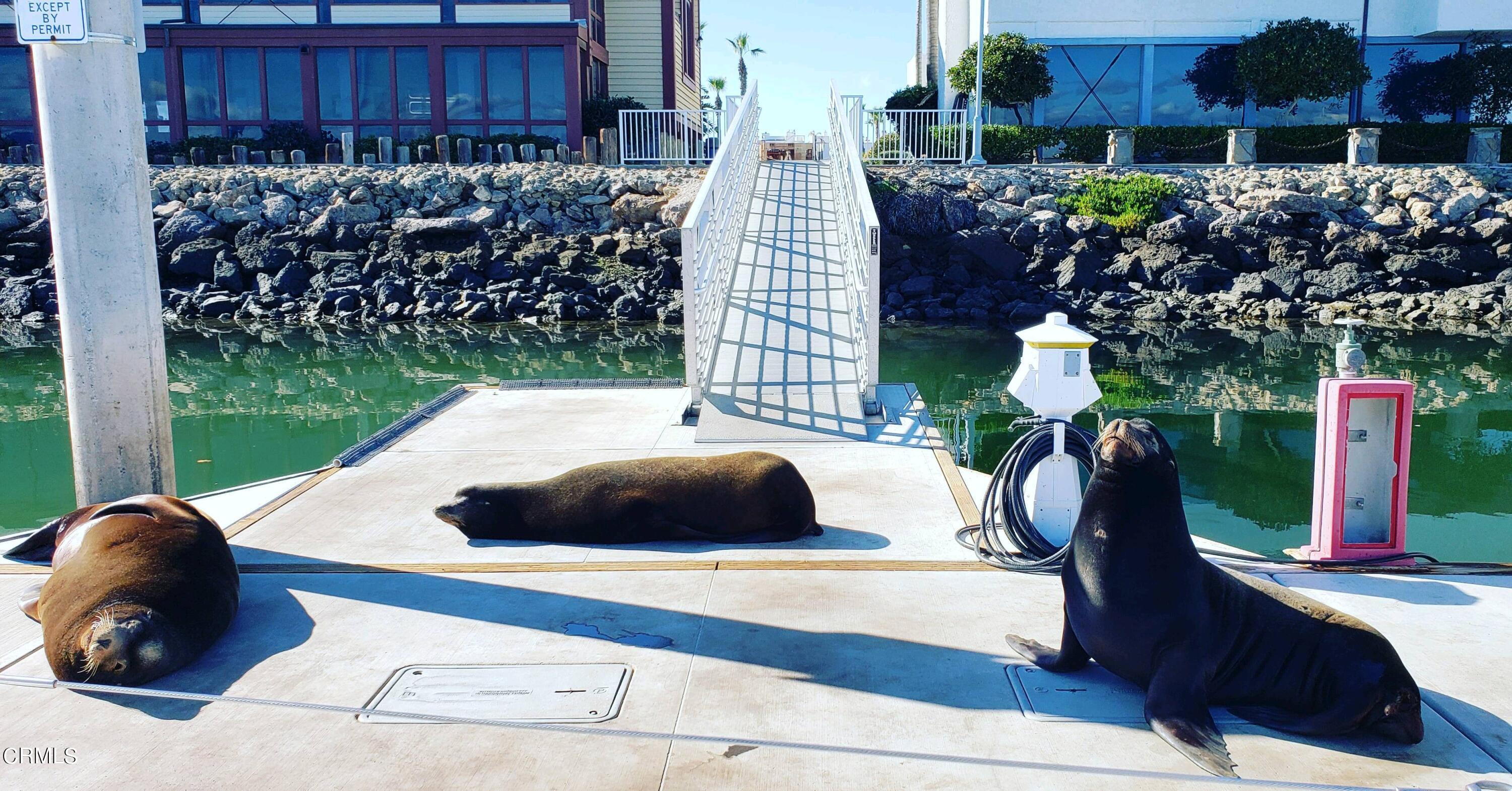 3225 Harbor Boulevard Oxnard, CA 93035 - Photo 32 of 34 a front view of a house with a yard and outdoor seating