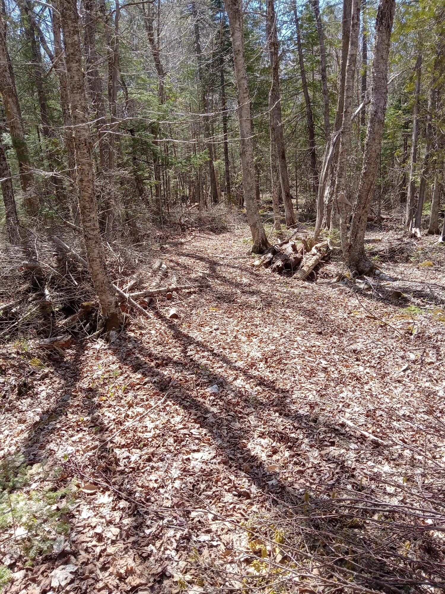 132 Village Road Jackson, ME 04921 - Photo 13 of 43 20240507_134329