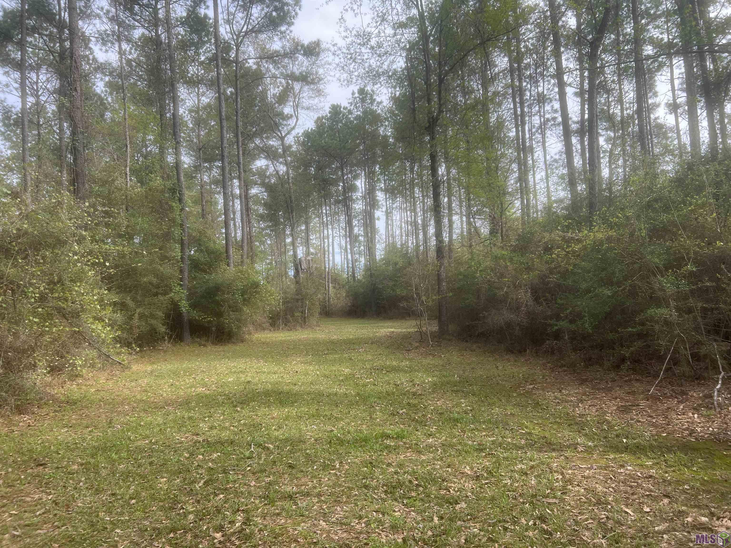 1810 Mc Knight Road Clinton, LA 70722 - Photo 11 of 17 Gallery Image 11