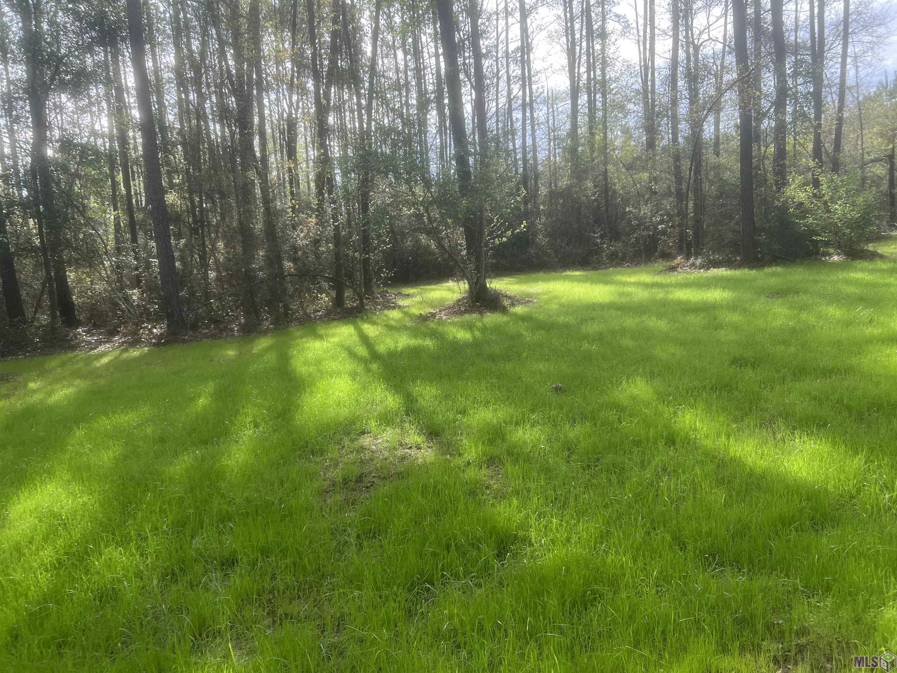 1810 Mc Knight Road Clinton, LA 70722 - Photo 15 of 17 Gallery Image 15