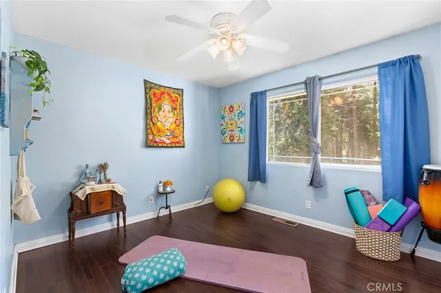 a living room with furniture flowerpot and window