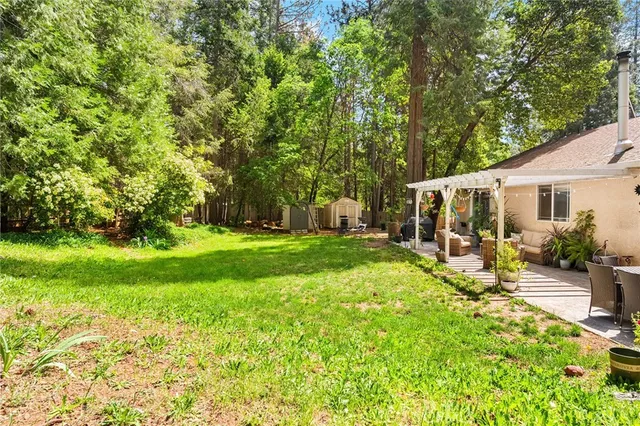 a view of a trees with a yard