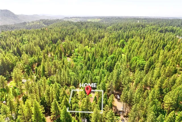 a view of a backyard with large trees and wooden fence