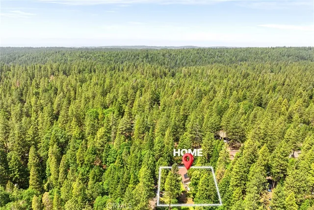 a view of a small house with a small yard and large trees
