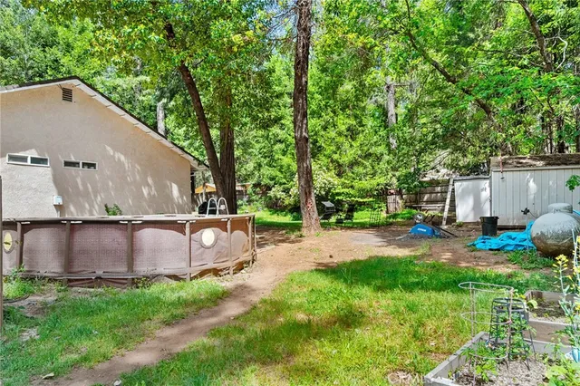 a view of a lush green forest with mountains in the background