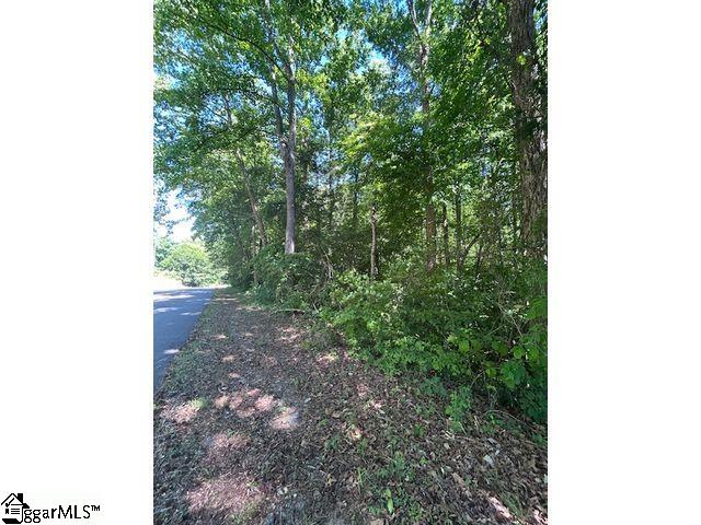 0 Sitton Mill Road Seneca, SC 29678 - Photo 4 of 5