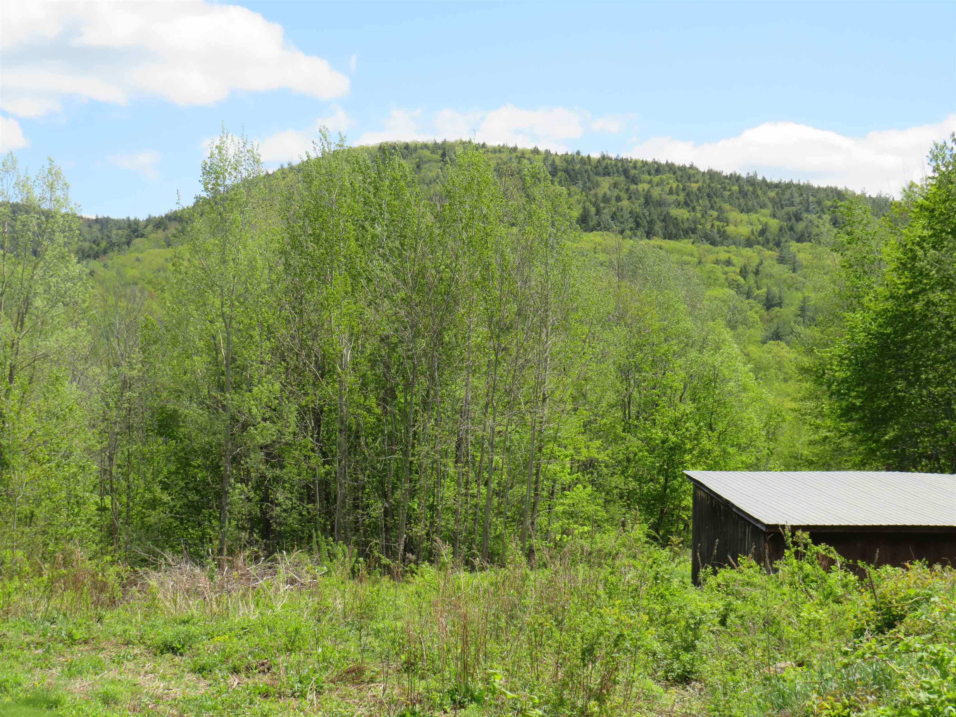 140 Rice Hill Road Freedom, NH 03836 - Photo 5 of 32
