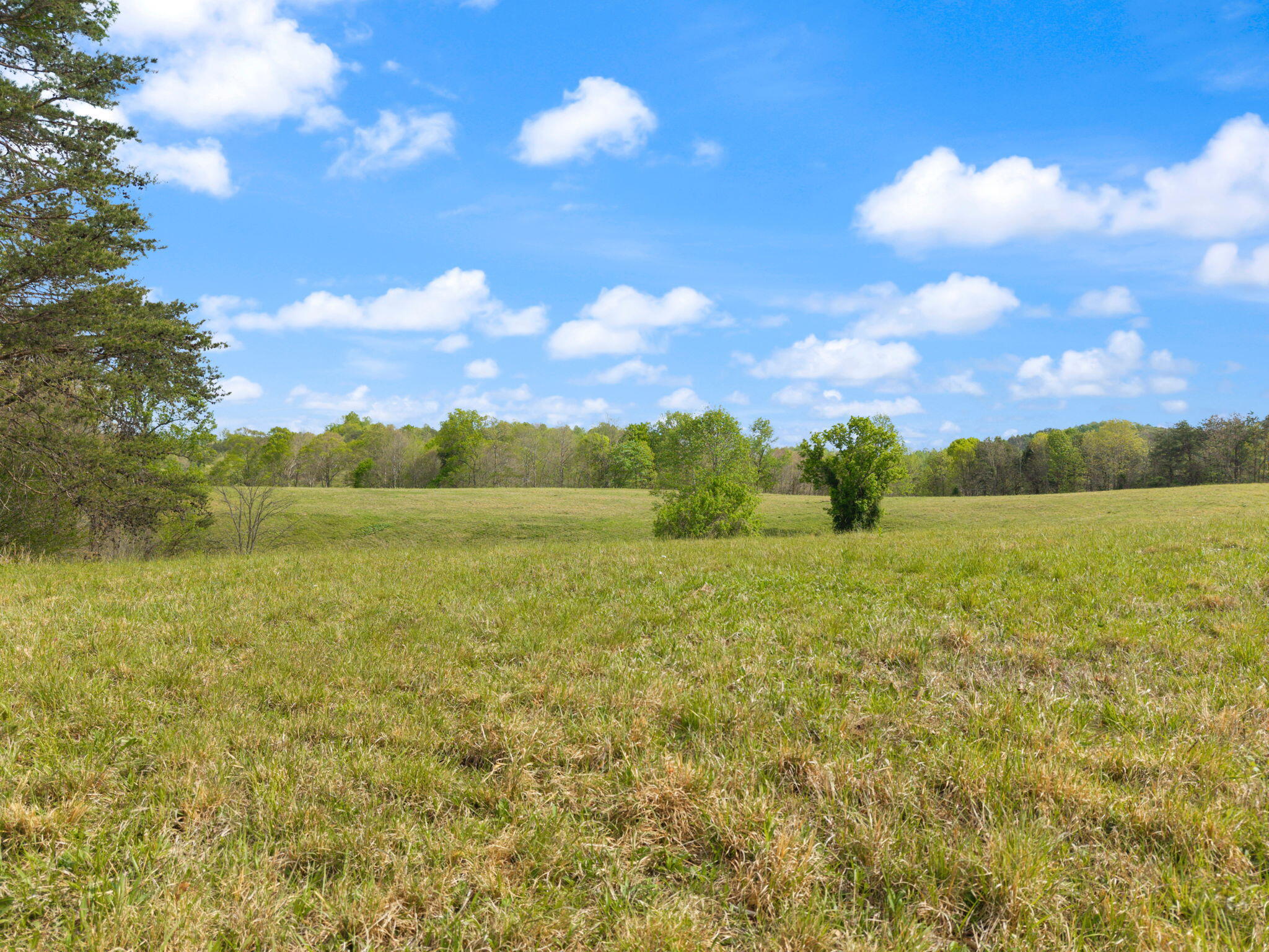371 Big Branch Road Beattyville, KY 41311 - Photo 24 of 52 30-web-or-mls-DJI_20260416164340_0108_D