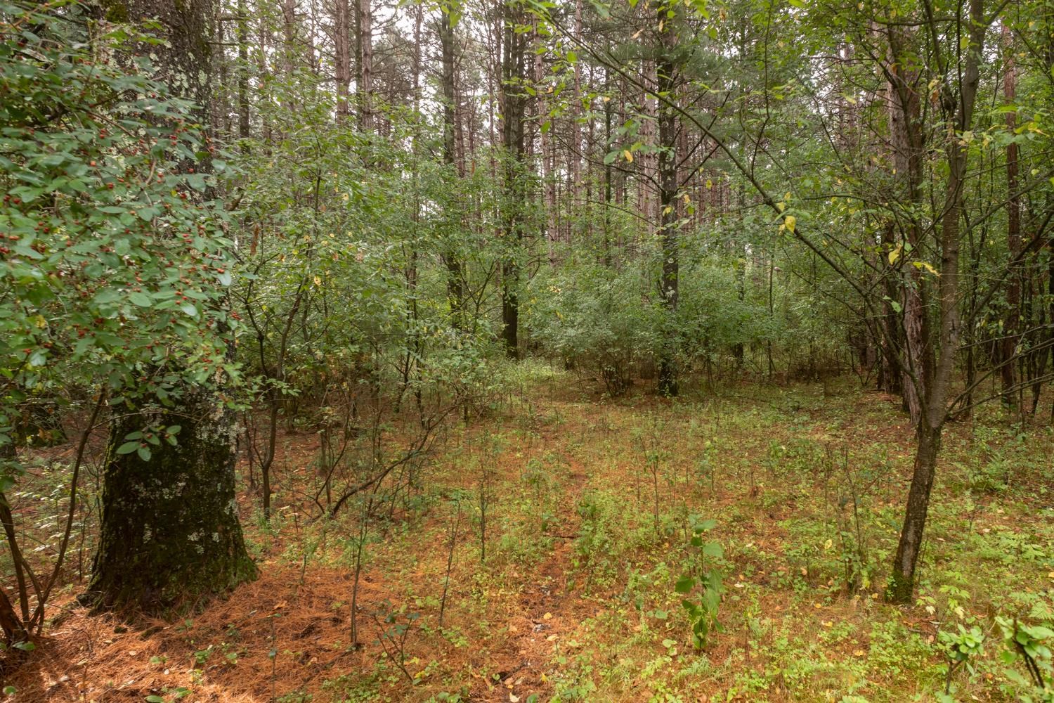 Deer Path, Unit 37 Hancock, WI 54943 - Photo 14 of 27 Gallery Image 14