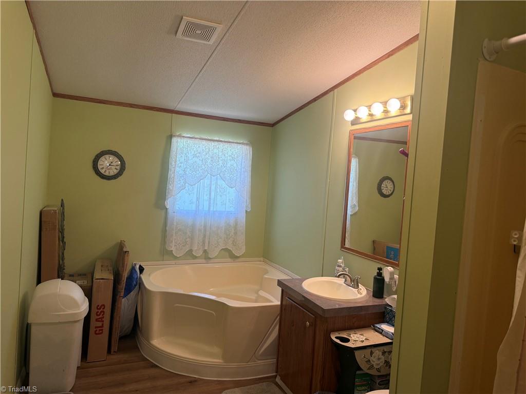 231 Cp Riddle Trail Mount Airy, NC 27030 - Photo 19 of 28 primary bath