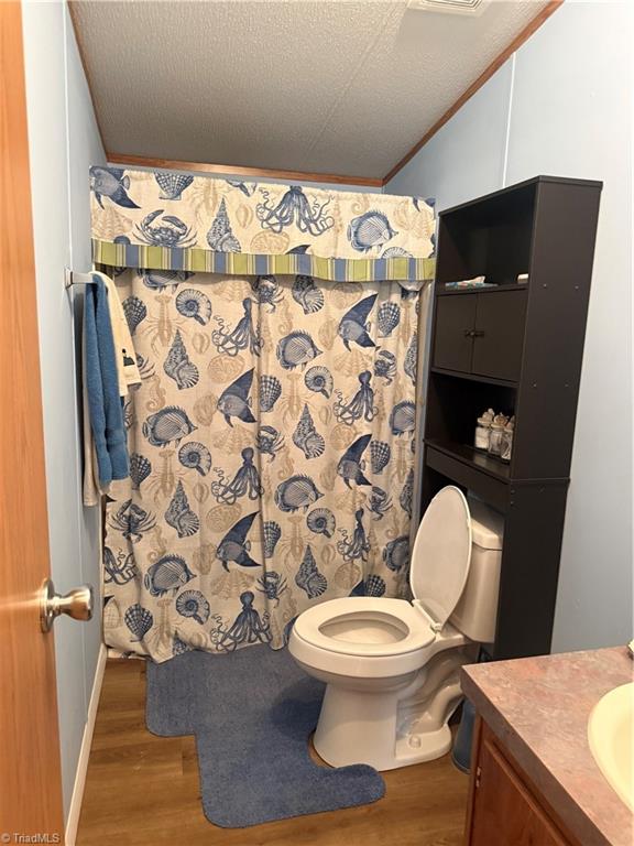 231 Cp Riddle Trail Mount Airy, NC 27030 - Photo 23 of 28 hall bathroom