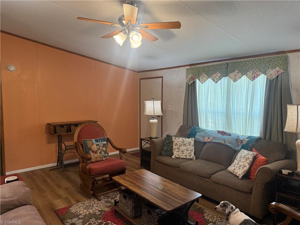 231 Cp Riddle Trail Mount Airy, NC 27030 - Photo 9 of 28 living room