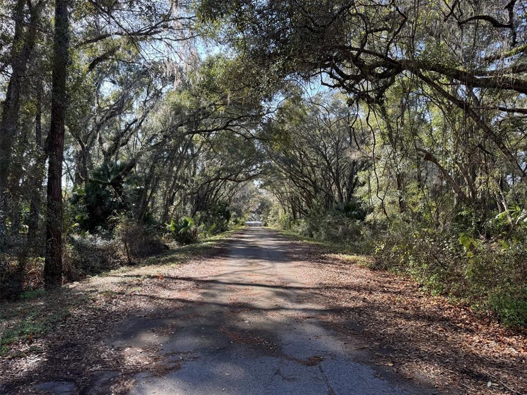 Sequoia Loop Track Ocklawaha, FL 32179 - Photo 6 of 7 a view of a yard with large trees