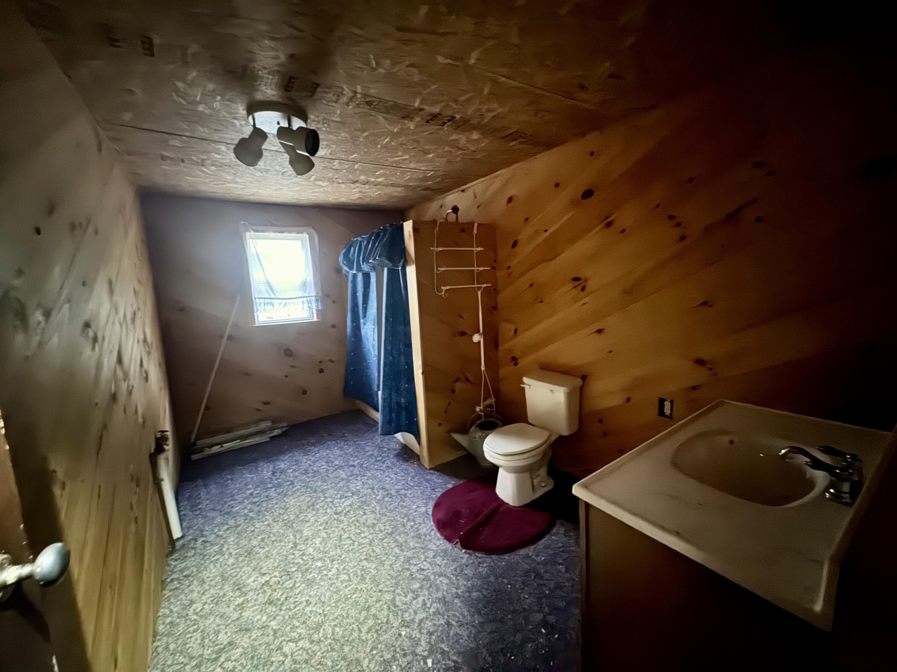 183 Blanche Road Lyon Mountain, NY 12955 - Photo 8 of 12 Bathroom