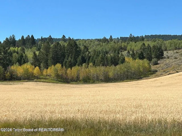 $137,000 | 8660 Fawn Ridge Lane, Tetonia, ID 83452