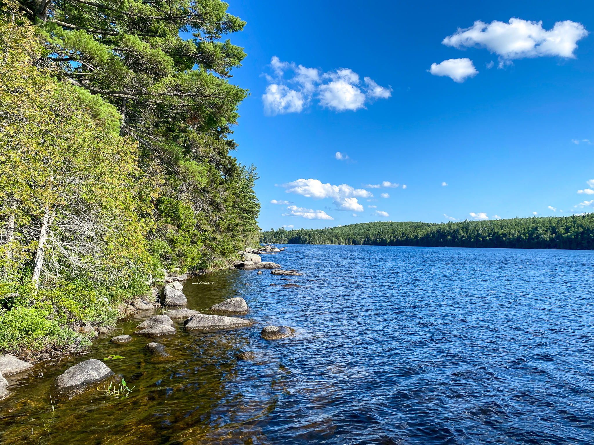 Lot 7-5a Spaulding Pond Road Lakeville, ME 04487 - Photo 14 of 26 IMG_3773