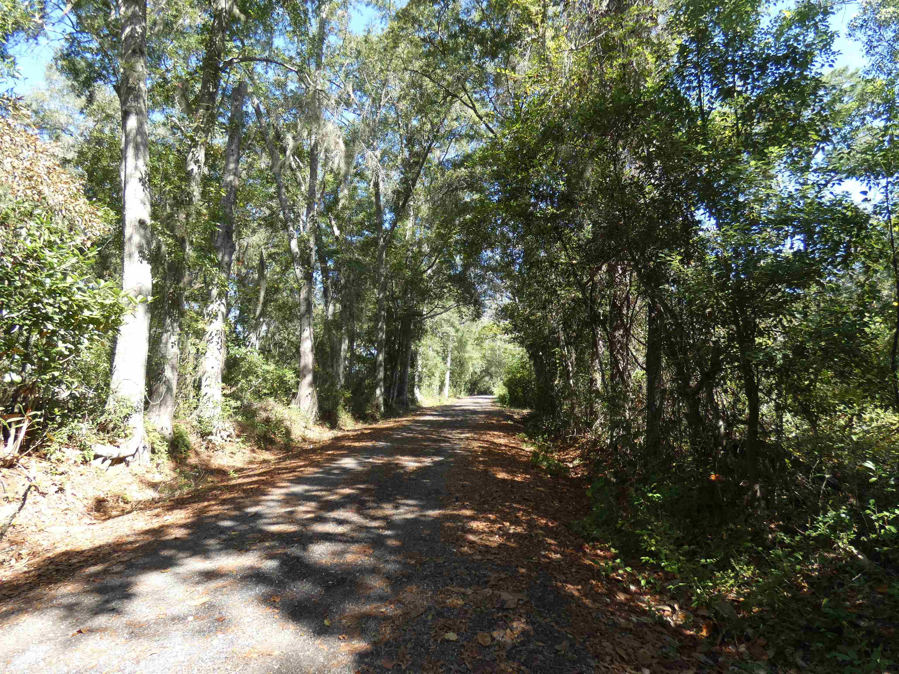 Tbd Jackson Street Monticello, FL 32344 - Photo 2 of 4