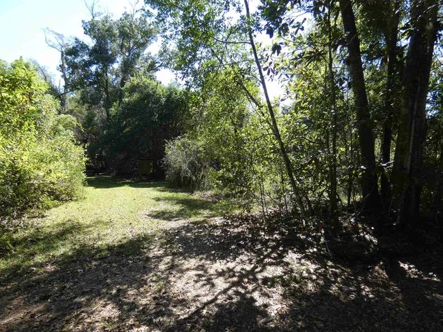 $60,000 | Tbd Jackson Street, Monticello, FL 32344