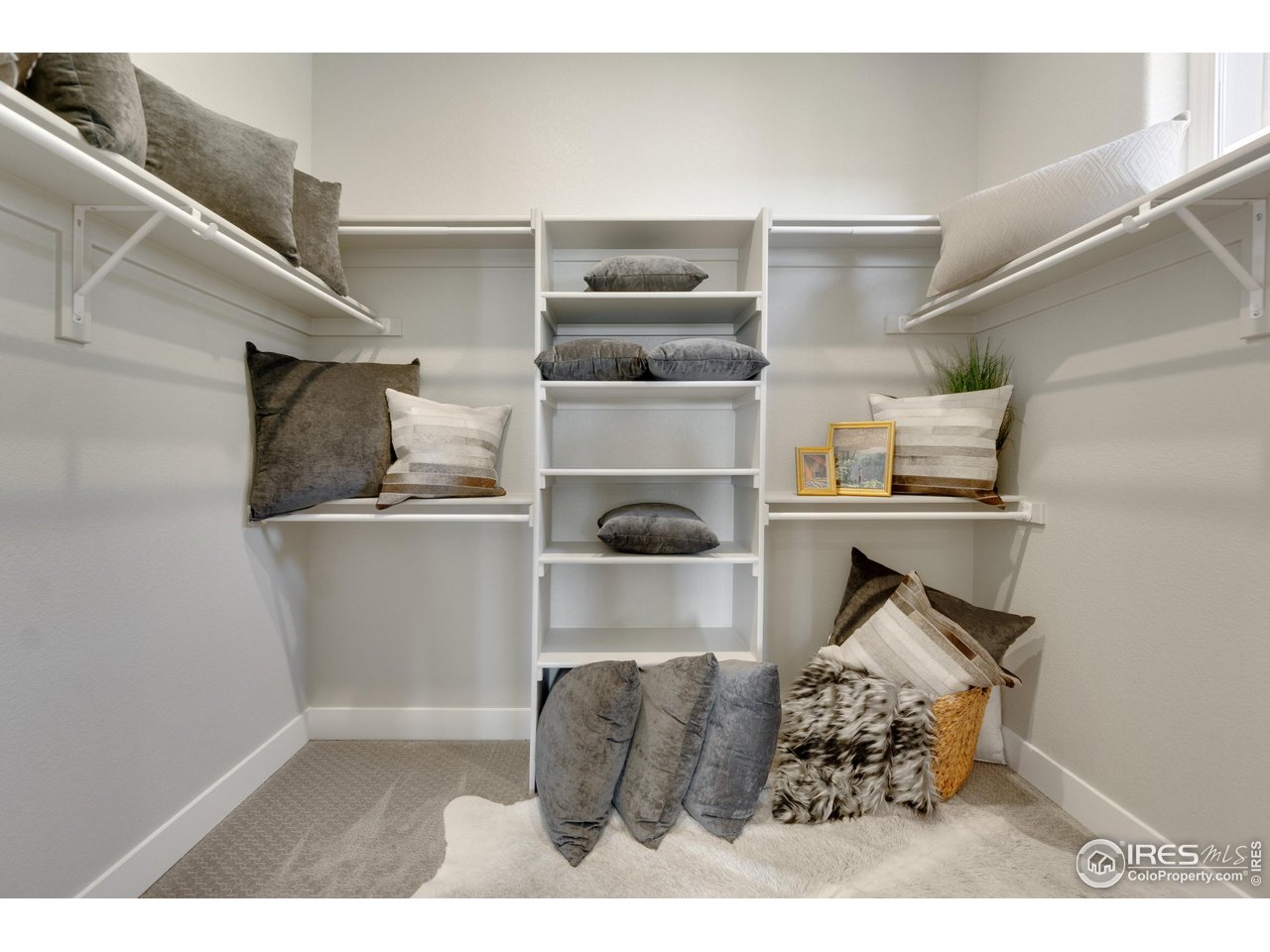 2039 Morningstar Way Fort Collins, CO 80524 - Photo 18 of 34 Primary Spacious Walk-in Closet