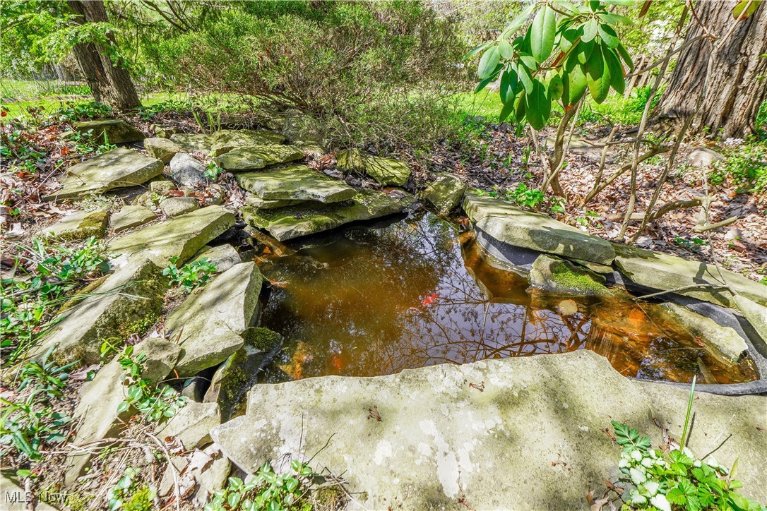 1415 Inwood Road Alliance, OH 44601 - Photo 35 of 41 Koi Pond