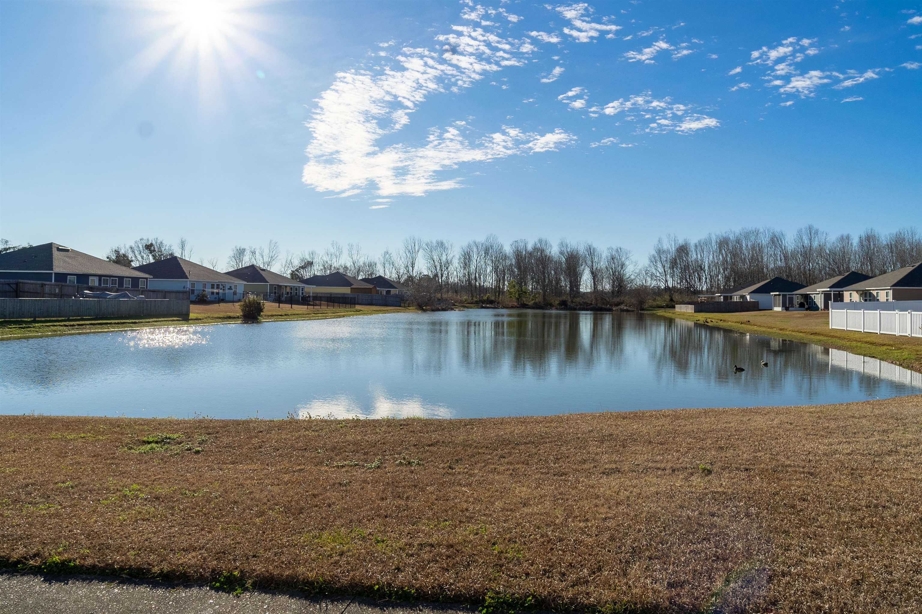 3068 Meridian Street Foley, AL 36535 - Photo 3 of 20