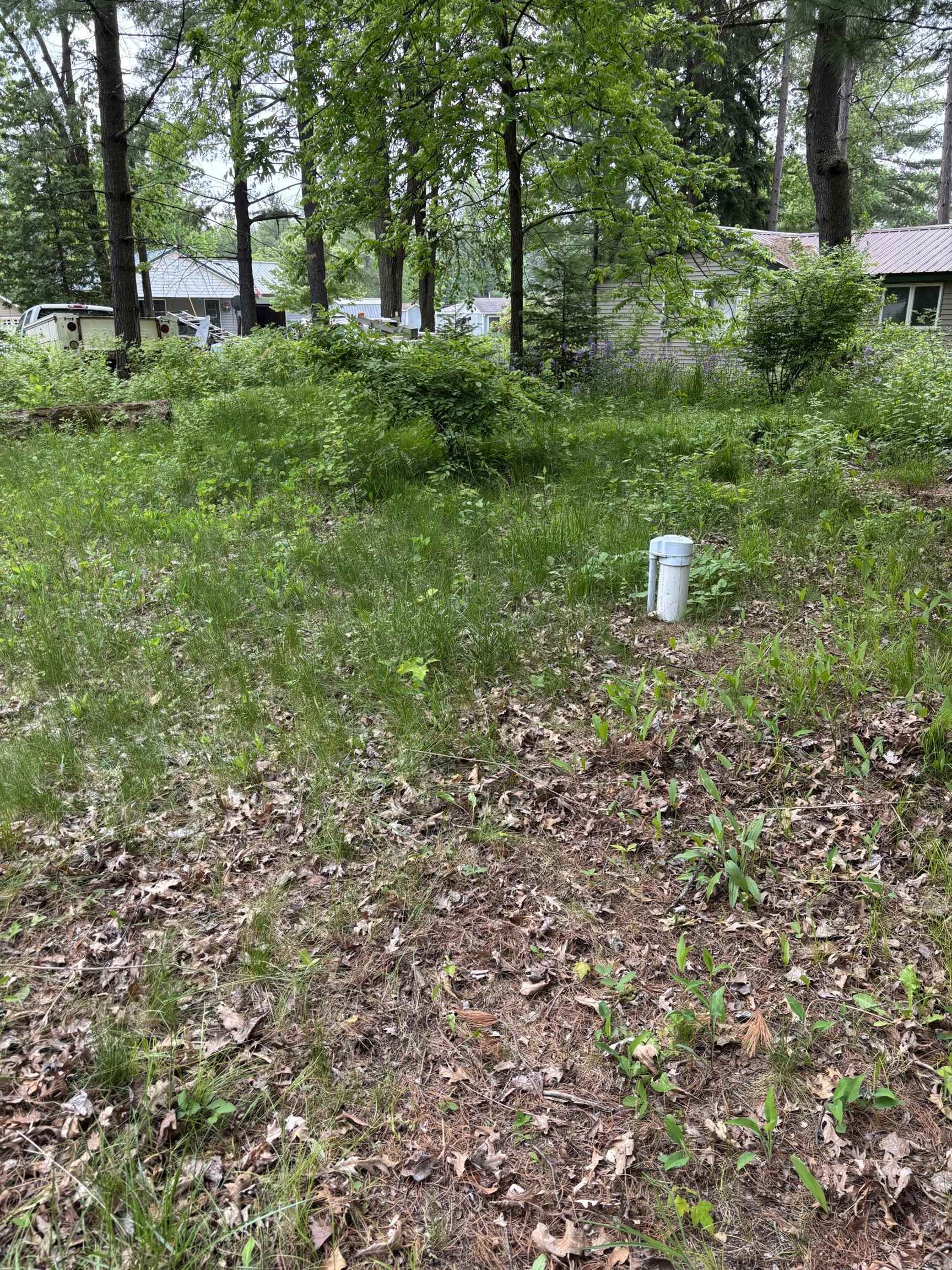 2431 Dodge Lake Road Harrison, MI 48625 - Photo 11 of 14