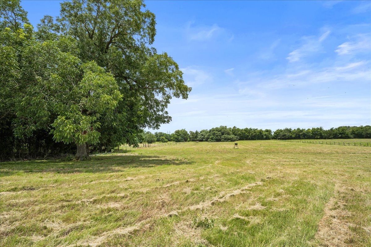8233 Quebe Road Brenham, TX 77833 - Photo 32 of 35