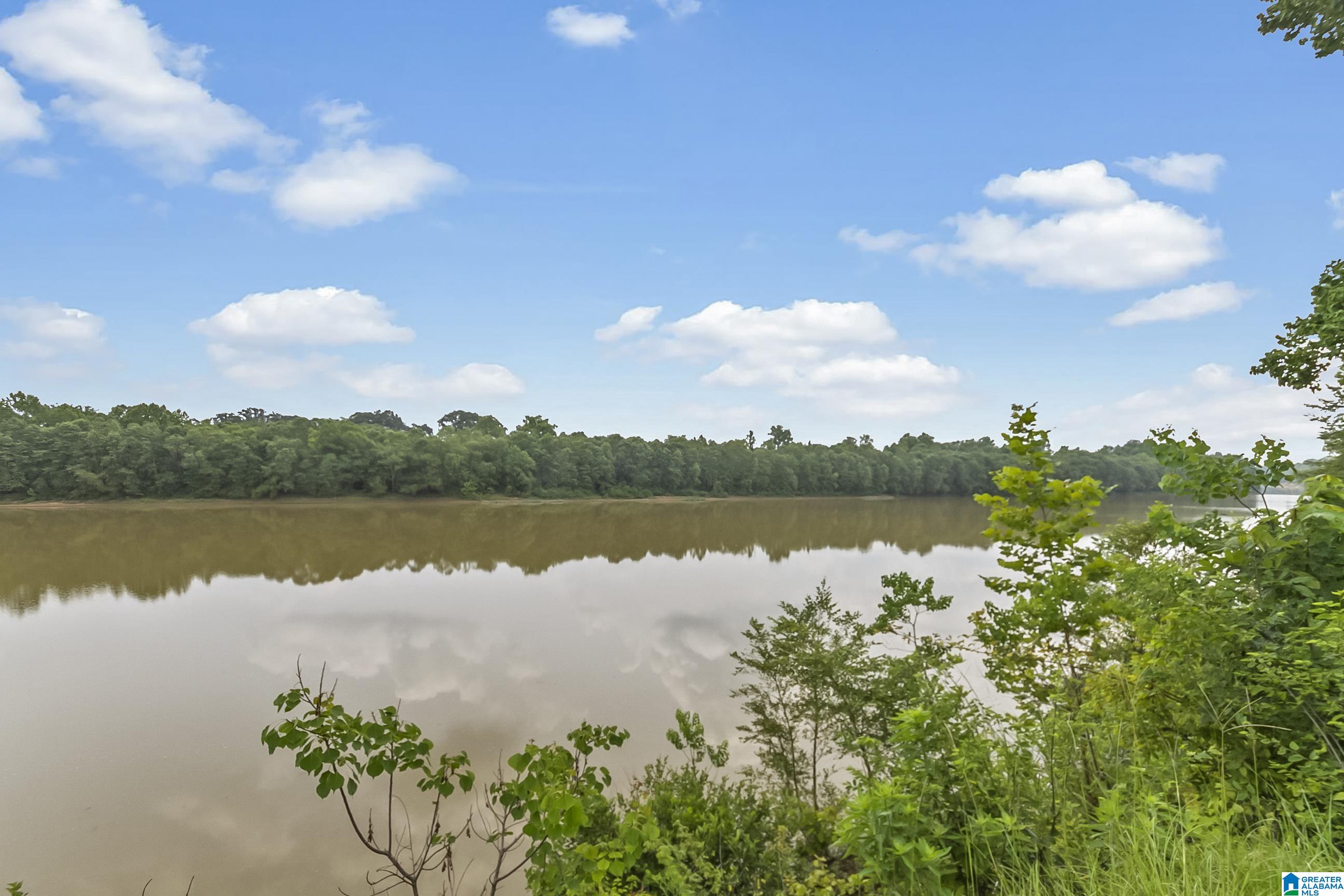 13615 Riverbend Road Moundville, AL 35474 - Photo 15 of 33