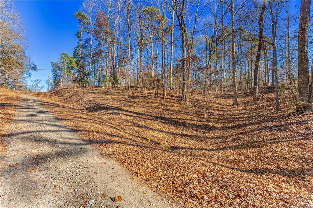 0 Mountain View Road Lavonia, GA 30553 - Photo 2 of 11 a view of outdoor space with wooden fence