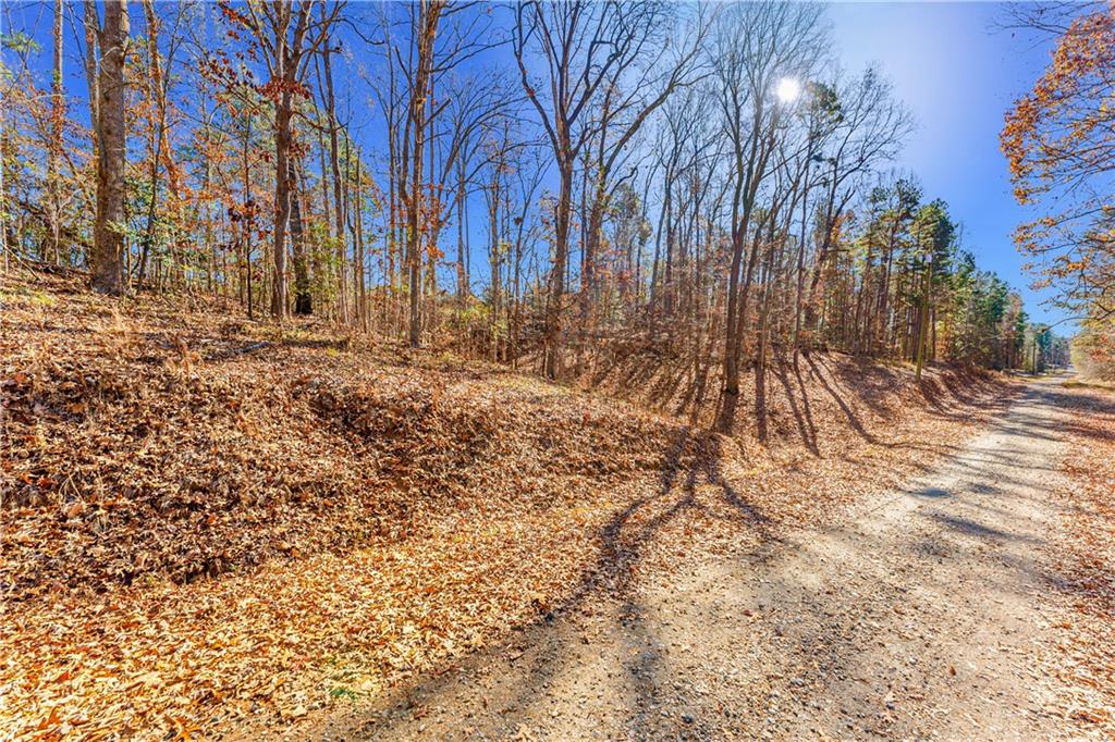 0 Mountain View Road Lavonia, GA 30553 - Photo 3 of 11 a view of covered with snow