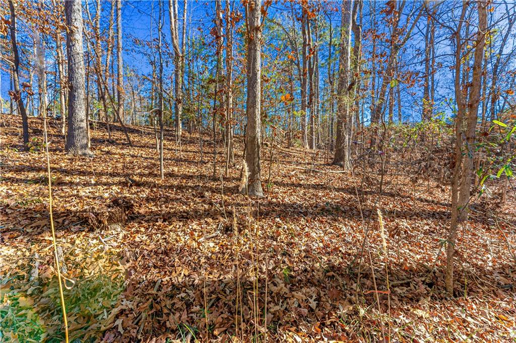 0 Mountain View Road Lavonia, GA 30553 - Photo 5 of 11 a backyard of a building with large trees