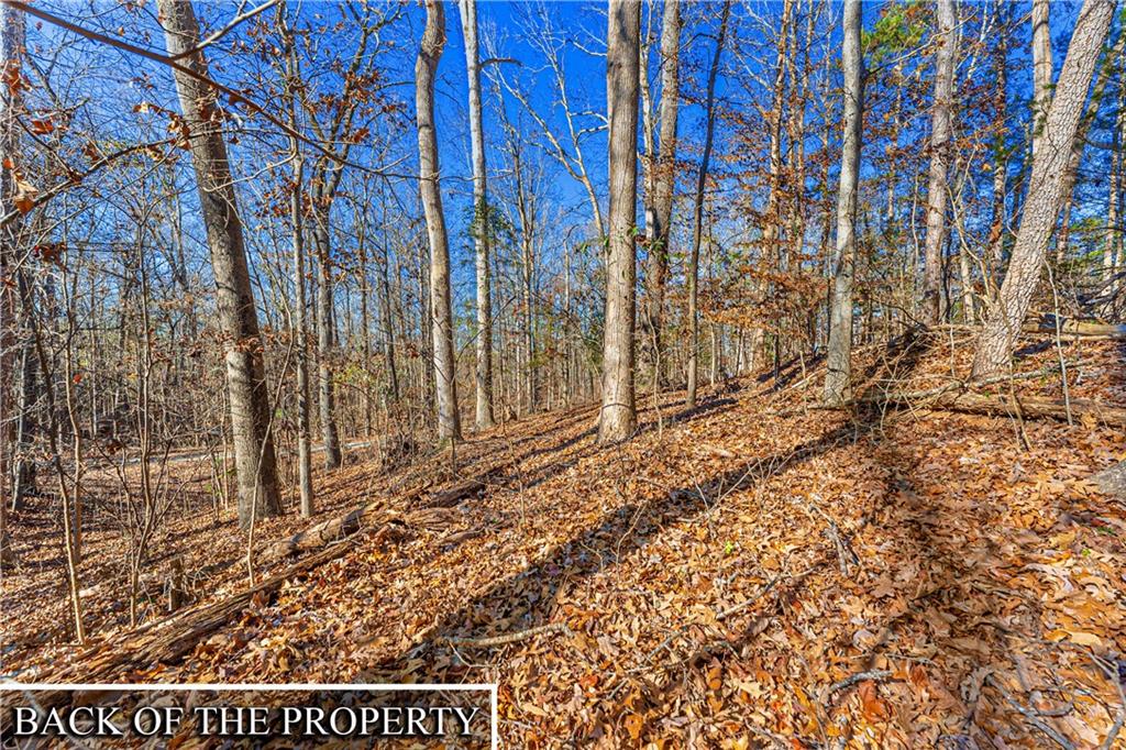 0 Mountain View Road Lavonia, GA 30553 - Photo 6 of 11 a picture of a yard