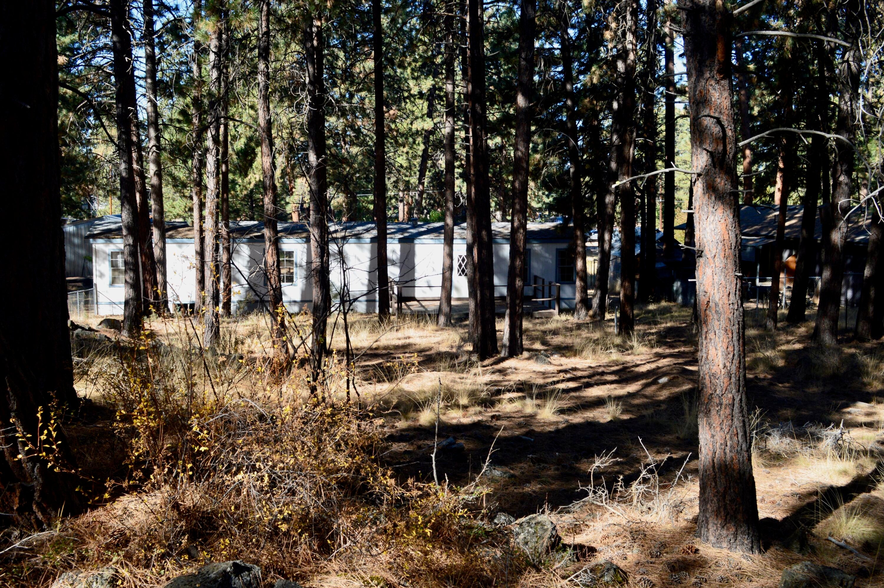 60164 Turquoise Road Bend, OR 97702 - Photo 12 of 21 Rear of home 2