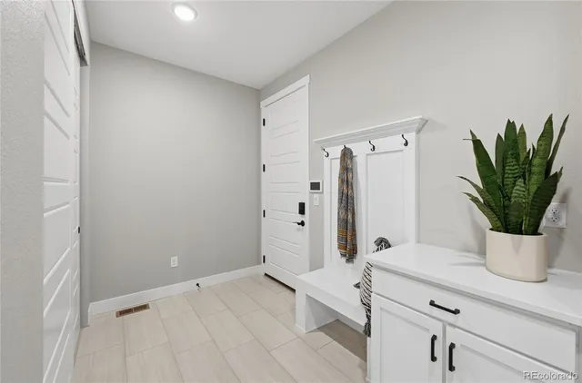 a bathroom with a potted plant on the counter and a shower