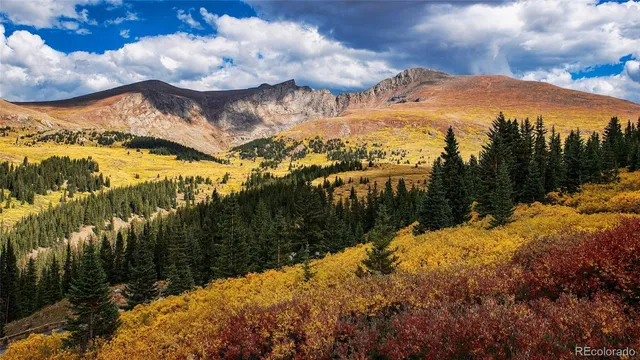 a view of a dry yard with mountains in the background
